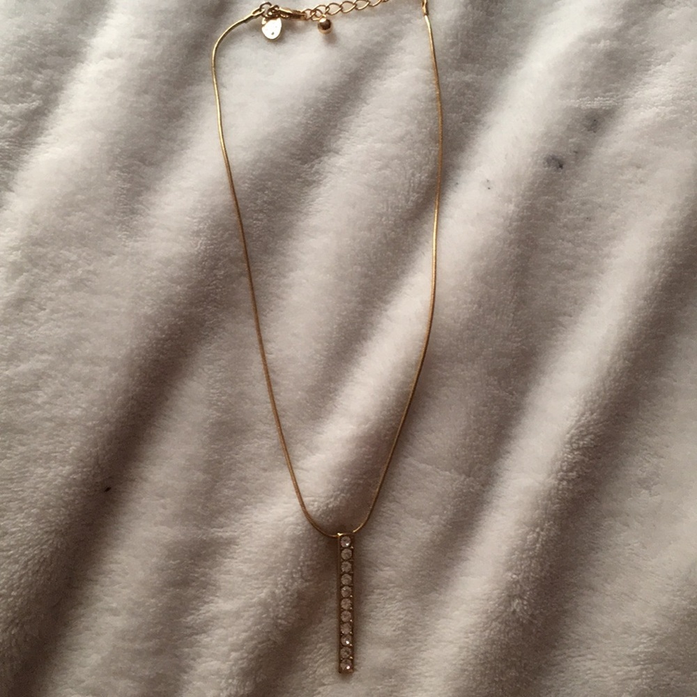 Charming Charlie necklace